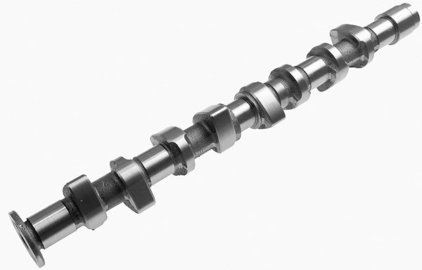 Schaeffler Ina Nockenwelle [Hersteller-Nr. 428016210] für Seat, VW