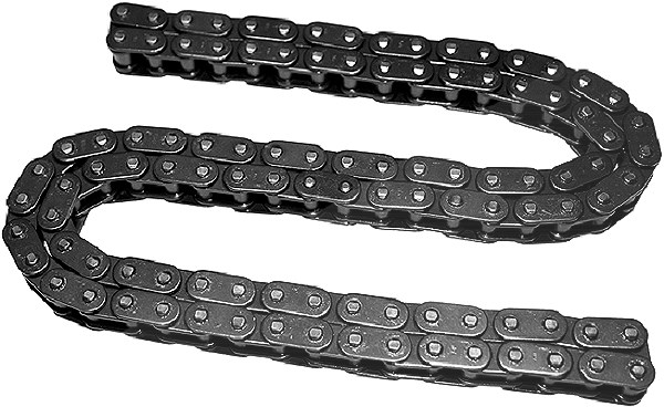 Schaeffler Ina Steuerkette [Hersteller-Nr. 553025510] für BMW, Opel