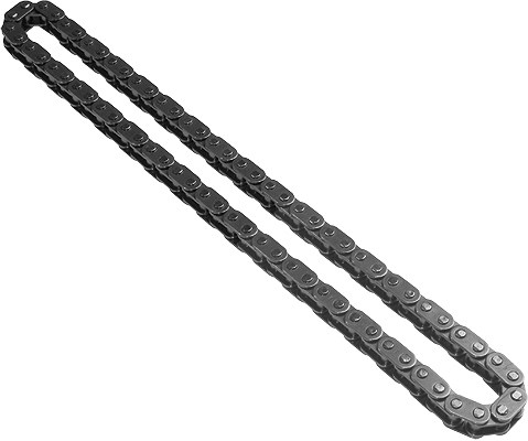 Schaeffler Ina Steuerkette [Hersteller-Nr. 553019510] für BMW
