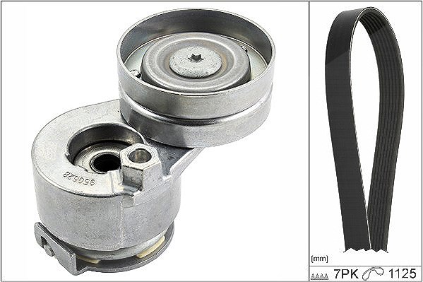 Schaeffler Ina Keilrippenriemensatz [Hersteller-Nr. 529008810] für Renault