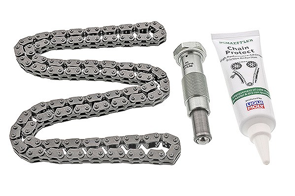 Schaeffler Ina Steuerkettensatz [Hersteller-Nr. 558004610] für BMW, Wiesmann, Alpina, Morgan