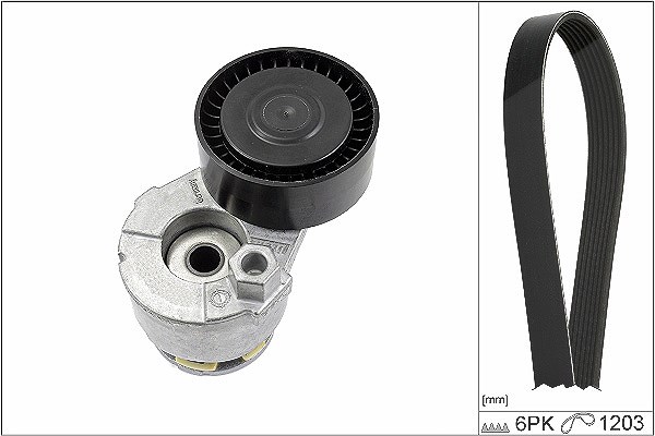 Schaeffler Ina Keilrippenriemensatz [Hersteller-Nr. 529000910] für Renault, Dacia, Nissan