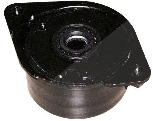 Schaeffler Ina Riemenspanner, Keilrippenriemen [Hersteller-Nr. 534017110] für BMW, Land Rover