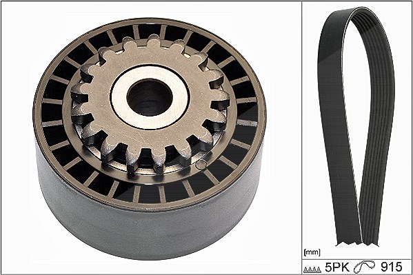 Schaeffler Ina Keilrippenriemensatz [Hersteller-Nr. 529017710] für Renault