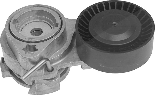 Schaeffler Ina Spannarm, Keilrippenriemen [Hersteller-Nr. 534012110] für BMW