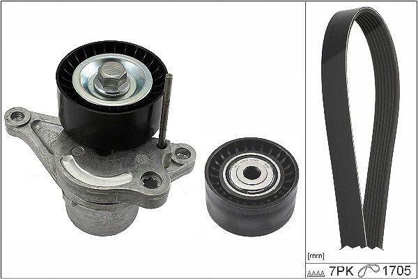 Schaeffler Ina Keilrippenriemensatz [Hersteller-Nr. 529042310] für Renault, Nissan