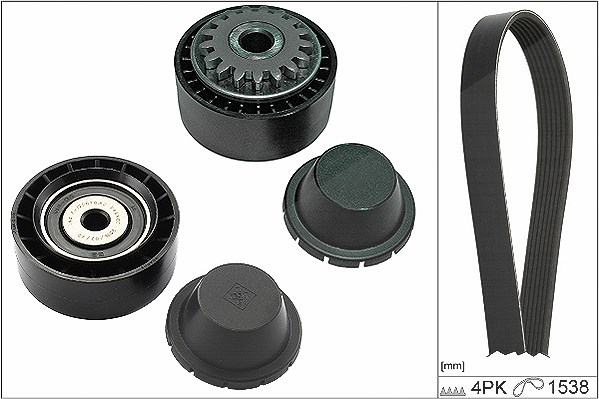 Schaeffler Ina Keilrippenriemensatz [Hersteller-Nr. 529028010] für Proton, Renault, Nissan, Dacia