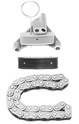 Schaeffler Ina Steuerkettensatz [Hersteller-Nr. 559011110] für Fiat, Citroën, Volvo, Lancia, Peugeot, Ford