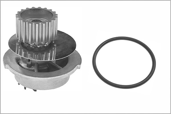 Schaeffler Ina Wasserpumpe [Hersteller-Nr. 538069710] für Daewoo, Chevrolet