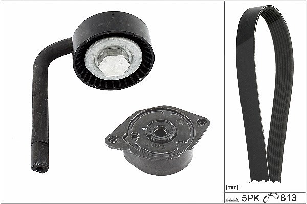 Schaeffler Ina Keilrippenriemensatz [Hersteller-Nr. 529041510] für BMW