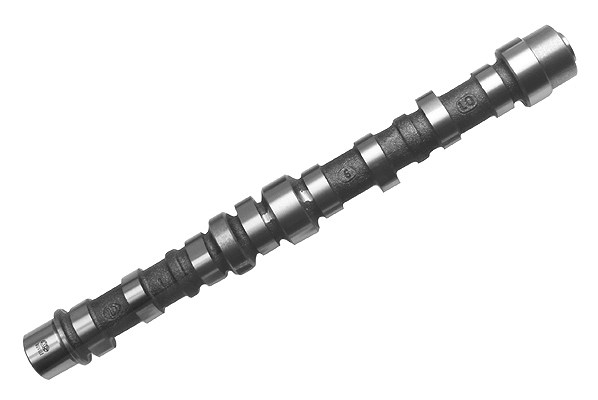 Schaeffler Ina Nockenwelle [Hersteller-Nr. 428010310] für Fiat, Lancia, Ford, Vauxhall, Opel, Alfa Romeo, Tata, Subaru