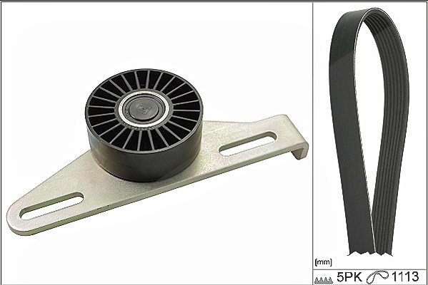 Schaeffler Ina Keilrippenriemensatz [Hersteller-Nr. 529014510] für Lada, Nissan, Dacia, Renault