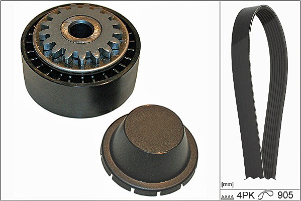 Schaeffler Ina Keilrippenriemensatz [Hersteller-Nr. 529017410] für Renault, Dacia, Nissan
