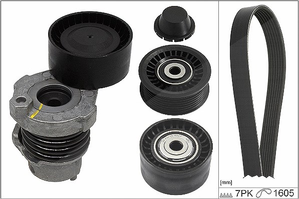 Schaeffler Ina Keilrippenriemensatz [Hersteller-Nr. 529019410] für Renault, Dacia, Nissan