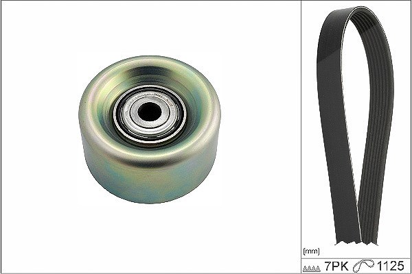 Schaeffler Ina Keilrippenriemensatz [Hersteller-Nr. 529023110] für Nissan