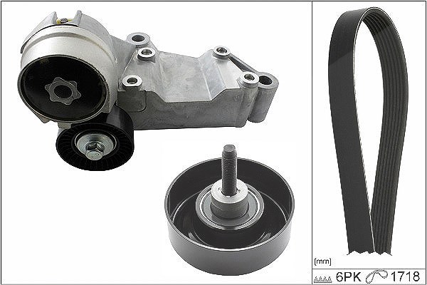 Schaeffler Ina Keilrippenriemensatz [Hersteller-Nr. 529046310] für Ford