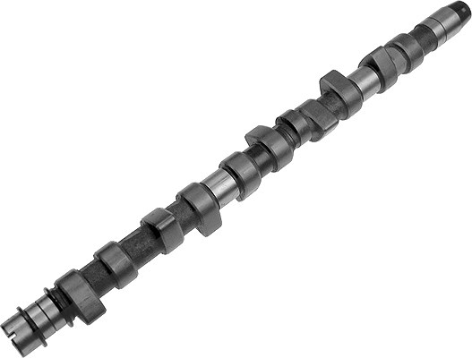 Schaeffler Ina Nockenwelle [Hersteller-Nr. 428007910] für Volvo, VW, Audi