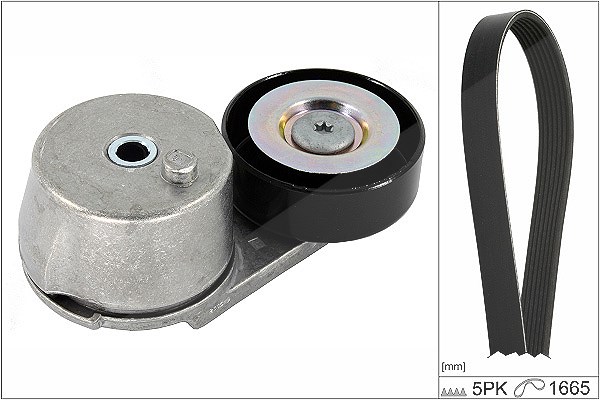 Schaeffler Ina Keilrippenriemensatz [Hersteller-Nr. 529045410] für Opel, Vauxhall