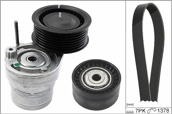 Schaeffler Ina Keilrippenriemensatz [Hersteller-Nr. 529031310] für Renault, Nissan, Smart