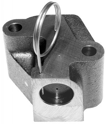 Schaeffler Ina Spanner, Steuerkette [Hersteller-Nr. 551009610] für Nissan
