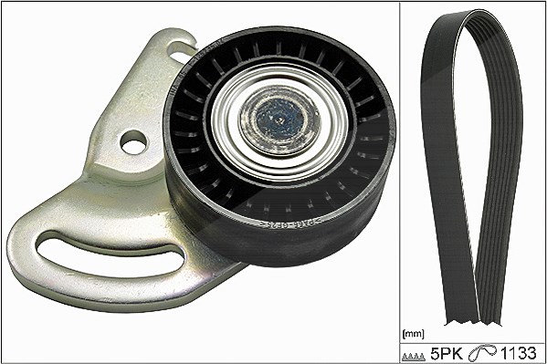 Schaeffler Ina Keilrippenriemensatz [Hersteller-Nr. 529017810] für Renault, Nissan