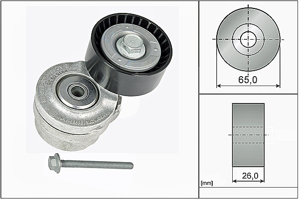 Schaeffler Ina Spannarm, Keilrippenriemen [Hersteller-Nr. 534010120] für Fiat, Lancia, Alfa Romeo