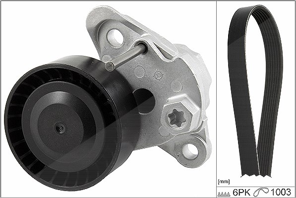 Schaeffler Ina Keilrippenriemensatz [Hersteller-Nr. 529020810] für Seat, VW, Skoda