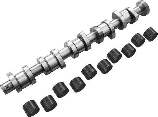 Schaeffler Ina Nockenwellensatz [Hersteller-Nr. 428004030] für VW