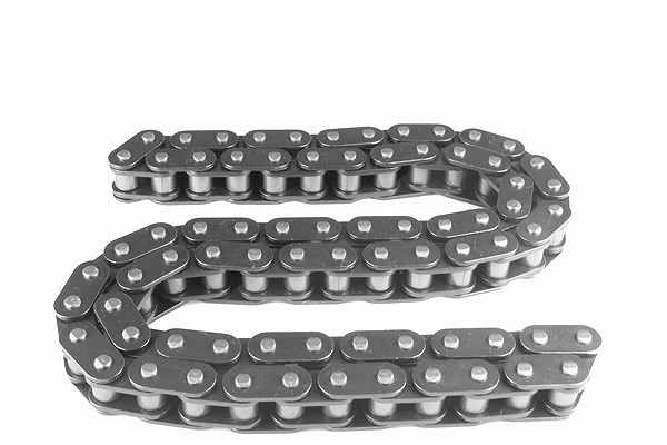Schaeffler Ina Steuerkette [Hersteller-Nr. 553022910] für VW, Audi