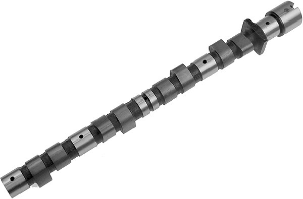 Schaeffler Ina Nockenwelle [Hersteller-Nr. 428000710] für BMW, Bertone
