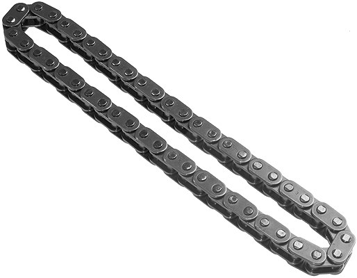 Schaeffler Ina Kette, Ölpumpenantrieb [Hersteller-Nr. 553019710] für Mini, BMW