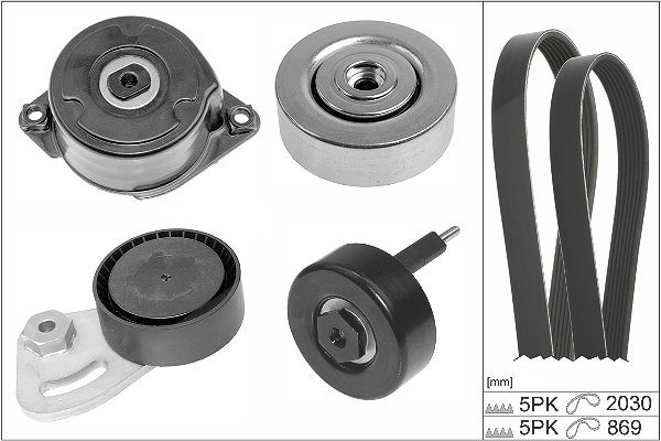 Schaeffler Ina Keilrippenriemensatz [Hersteller-Nr. 529025310] für Land Rover, Rover, Mg