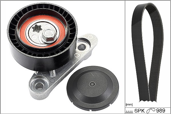Schaeffler Ina Keilrippenriemensatz [Hersteller-Nr. 529016010] für VW, Skoda, Seat
