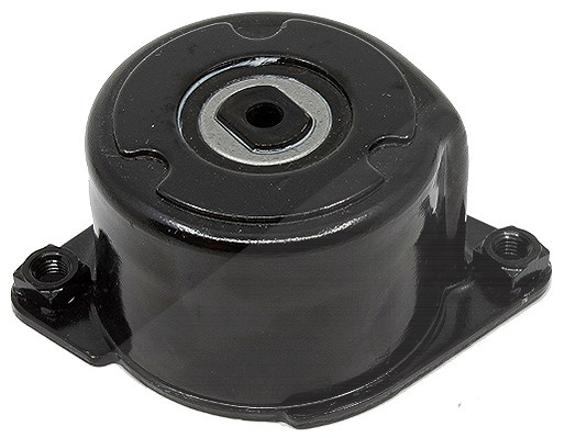 Schaeffler Ina Riemenspanner, Keilrippenriemen [Hersteller-Nr. 534017010] für BMW