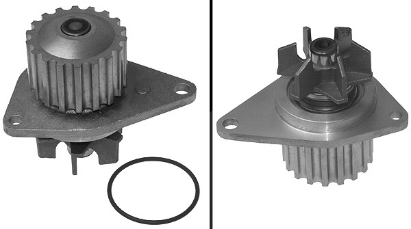 Schaeffler Ina Wasserpumpe [Hersteller-Nr. 538006810] für Peugeot, Citroën