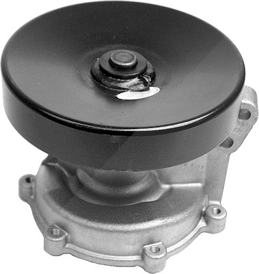Schaeffler Ina Wasserpumpe [Hersteller-Nr. 538049310] für Renault, Saab