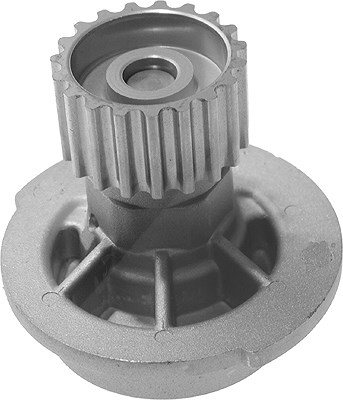 Schaeffler Ina Wasserpumpe [Hersteller-Nr. 538006610] für Chevrolet, Daewoo