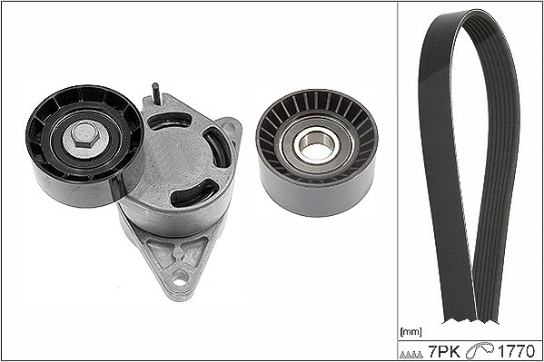 Schaeffler Ina Keilrippenriemensatz [Hersteller-Nr. 529013610] für Renault