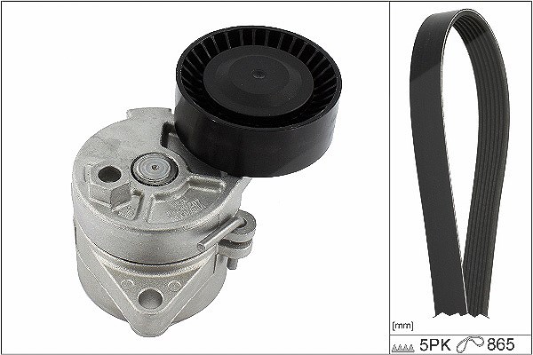 Schaeffler Ina Keilrippenriemensatz [Hersteller-Nr. 529045810] für BMW