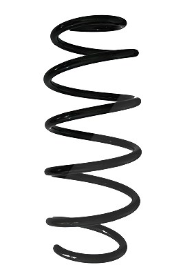 Spidan Fahrwerksfeder [Hersteller-Nr. 88179] für Ford