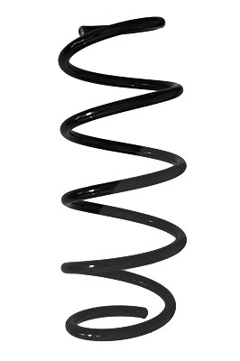 Spidan Fahrwerksfeder [Hersteller-Nr. 88177] für Ford