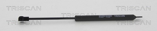 Kawe Gasfeder, Heckscheibe [Hersteller-Nr. 871038241] für Citroën