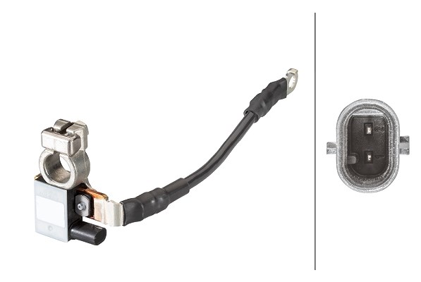 Hella Sensor, Batteriemanagement [Hersteller-Nr. 6PK010181-701] für Hyundai, Kia
