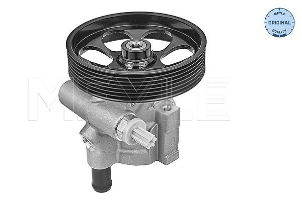 Meyle Hydraulikpumpe, Lenkung [Hersteller-Nr. 16-166310004] für Renault