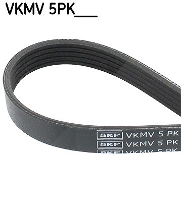 Skf Keilrippenriemen [Hersteller-Nr. VKMV5PK1640] für Kia, Hyundai