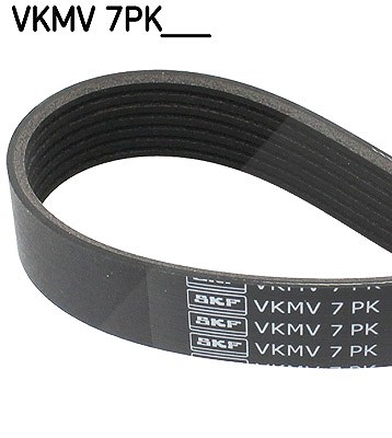 Skf Keilrippenriemen [Hersteller-Nr. VKMV7PK1988] für Suzuki