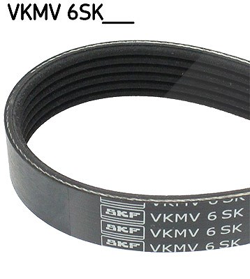 Skf Keilrippenriemen [Hersteller-Nr. VKMV6SK1033] für Ford