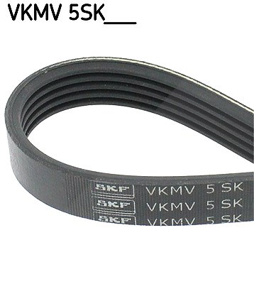Skf Keilrippenriemen [Hersteller-Nr. VKMV5SK748] für Fiat, Lancia