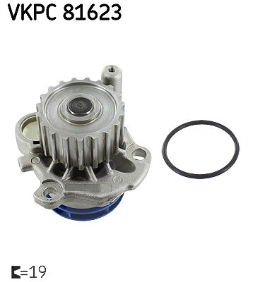 Skf Wasserpumpe [Hersteller-Nr. VKPC81623] für Seat, VW, Skoda, Audi