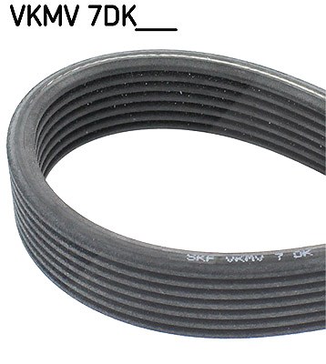 Skf Keilrippenriemen [Hersteller-Nr. VKMV7DK1400] für VW